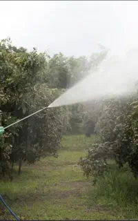مهپاشی ساس بید کک کنه سوسک موش ضمانت خدمات