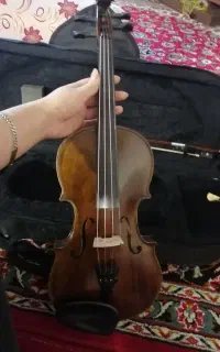 ویالون 4/4حرفه ای