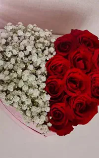 باکس گل رز سرخ فوق‌العاده شیک