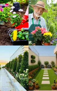 خدمات باغبانی گلکاری کاشتی گل باغچه کاری درختکاری