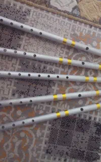فلوت المیونی