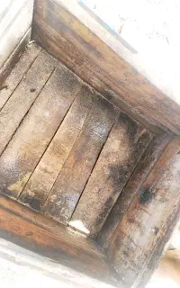 کندو زنبور