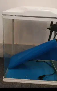 شیشه اکواریوم الیام