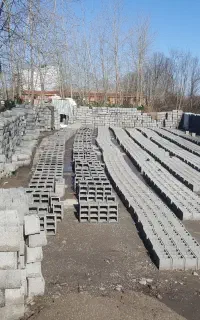 نیروی کار