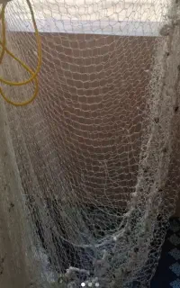 تفریحی سرگرمی