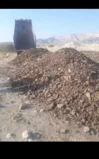کودمرغ به شرط