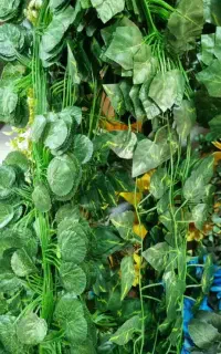 گرین وال چمن مصنوعی فنس چمن