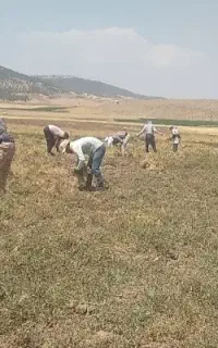 با سلام سرکارگرم با اکیپ زرنگ