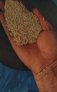 ارزن