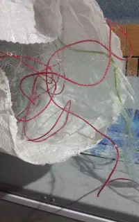 تور ماهیگیری (شبچ)