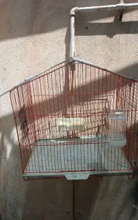 قفس پرنده