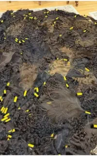 بو  زال خام طلایی و رنگی