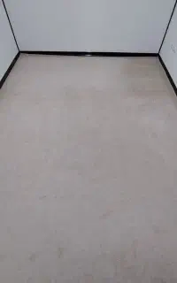 پالاز موکت کرمی در حد نو