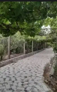 سرایداری باغ ویلا