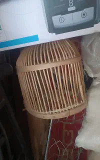 قفس پرنده