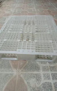 پالت پلاستیکی