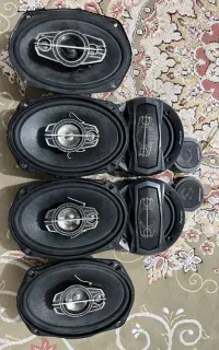 باند پایونر ۶۹۷۵