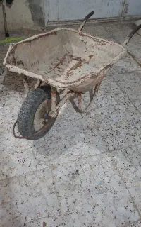 فرغون