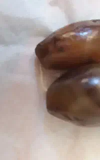 مهره سلیمانی