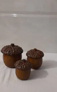 ست بلوط