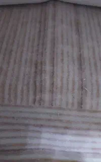 موکت
