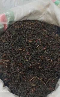 چاممتاز لاهیجان
