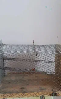 برای موش
