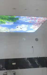 شاگرد برای دکوراسیون داخلی کناف