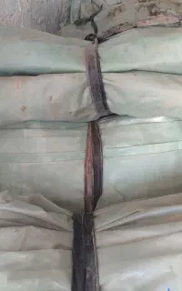 پلاستیک گلخانه