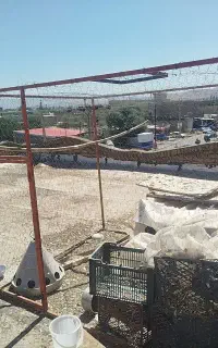 توربند