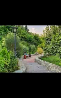 جویای کار