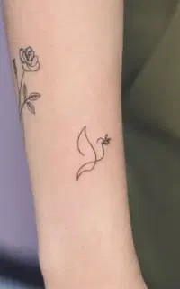 تتو بدن و میکرو