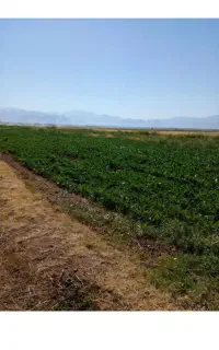 انجام تمام کار کشاورزی