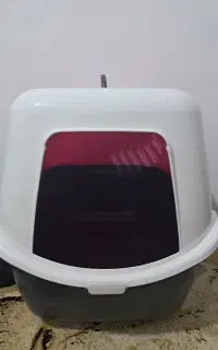 ظرف خاک گربه