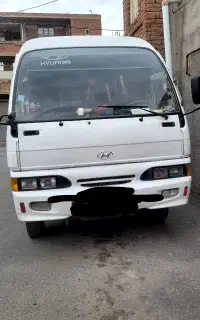 مینی‌بوس‌دربستی‌