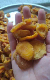برگه زردآلو آلبالو خشک لواشک ترش و خوشمزه