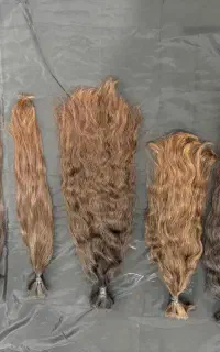 خرید اربزرگ خراسان درکاشمروروستاها