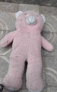 خرس بزرگ صورتی