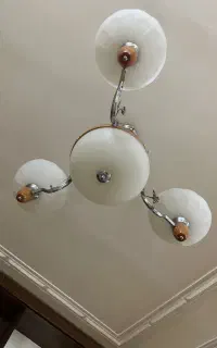 دوعددلوسترسه شاخه بزرگ