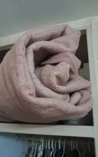 موکت تمیز