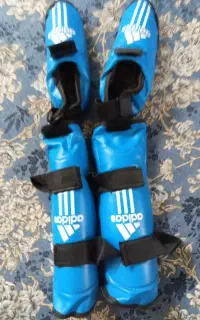 روپایی حرفه ای کاراته