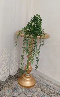 وسائل تزئینی