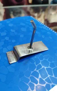 شاخک رگال