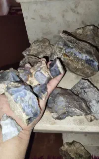سنگ شجر طبیعی