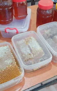 عسل کوهی اصل تبریز به تعداد محدود
