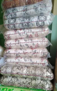 پشتی دور خانه