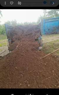 کو‌حیوانی