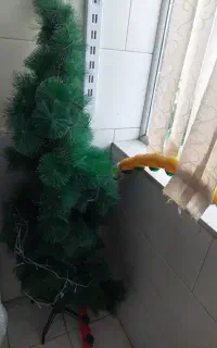 درخت کاج و ریسه پرده ای ستاره