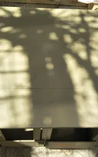 لانه پرنده