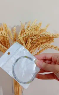 بنگل